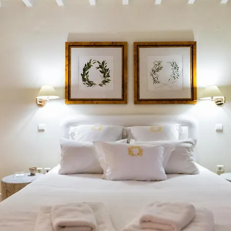 The Galaxy Mykonos Art Zen With Large Pool Greek Classic Chic וילה